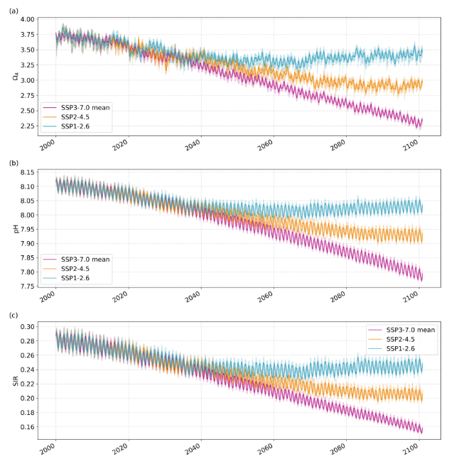 Trends in aragonite saturation, pH, and SIR