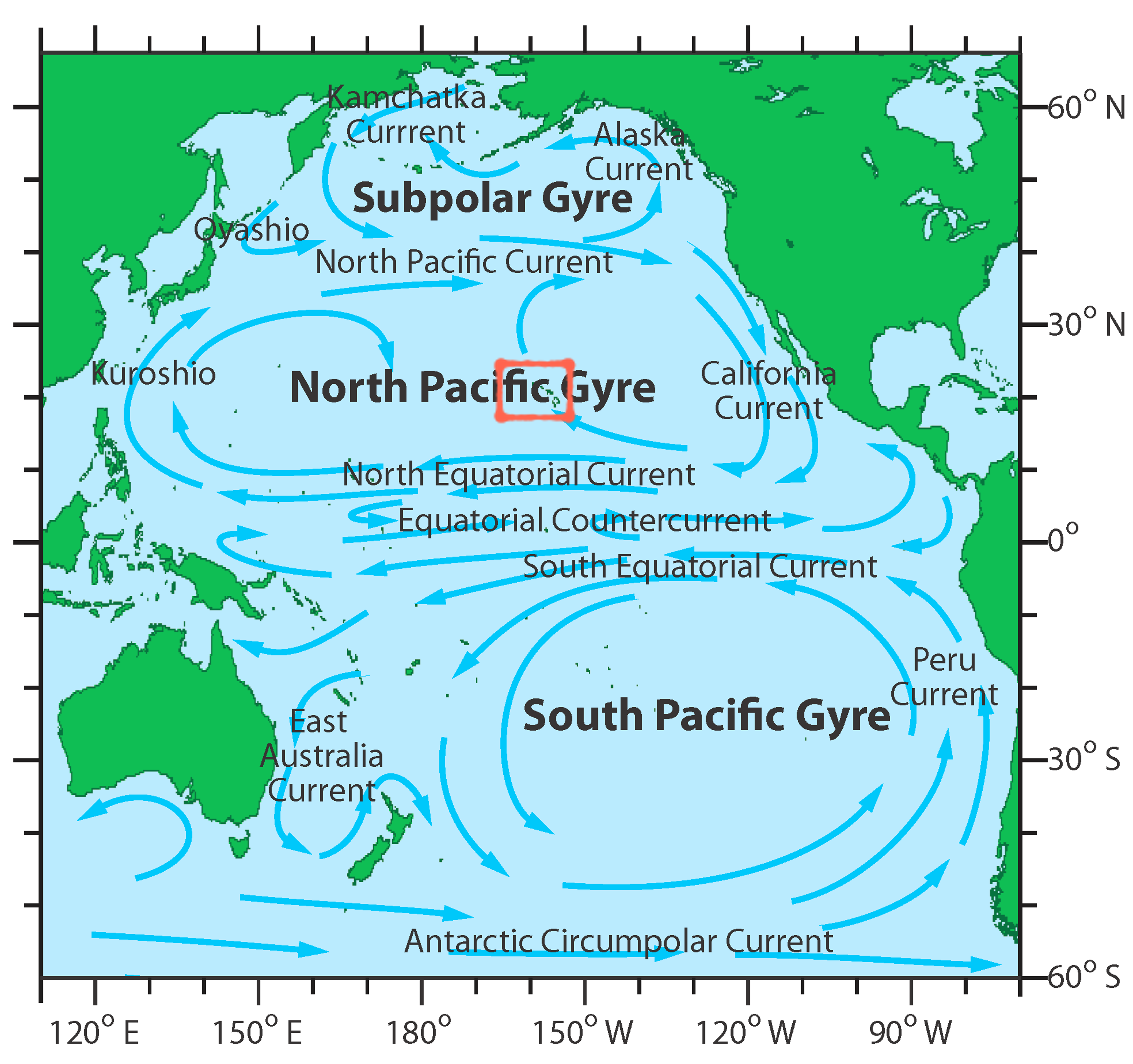 North Pacific Subtropical Gyre currents